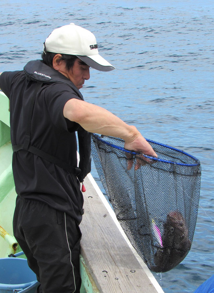 海流がわずかに南へ動き始めるとにわかにアタリが出始めました