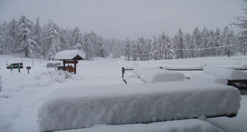 neige en montagne france alpes jura janvier 2025