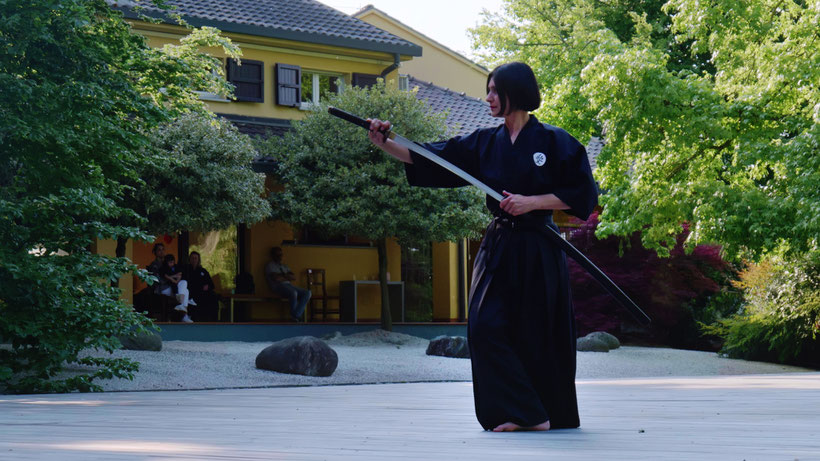 Dojo Maharishi Sathyananda - Ai Jutsu - stato d'animo - atteggiamento - arti marziali - mente - paura - confusione