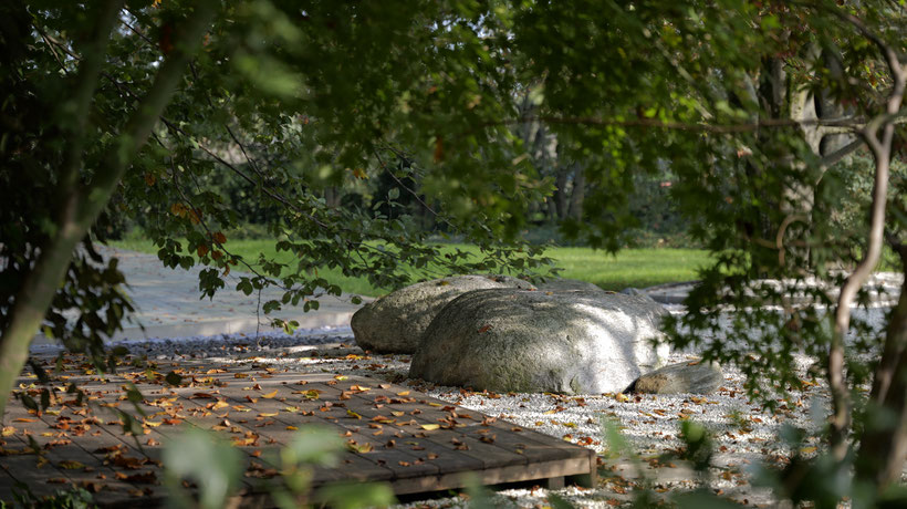 Dojo Maharishi Sathyananda - Giardino Zen