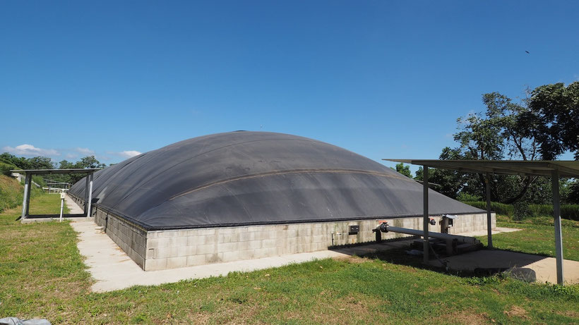 Gallinaza - pollinaza aprovechamiento en biodigestores- Aqualimpia Engineering 