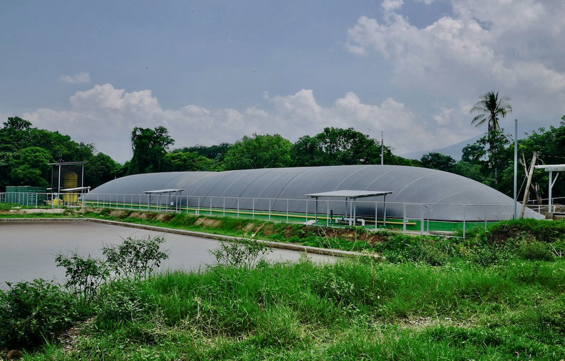 Biodigestores industrial en granja porcina