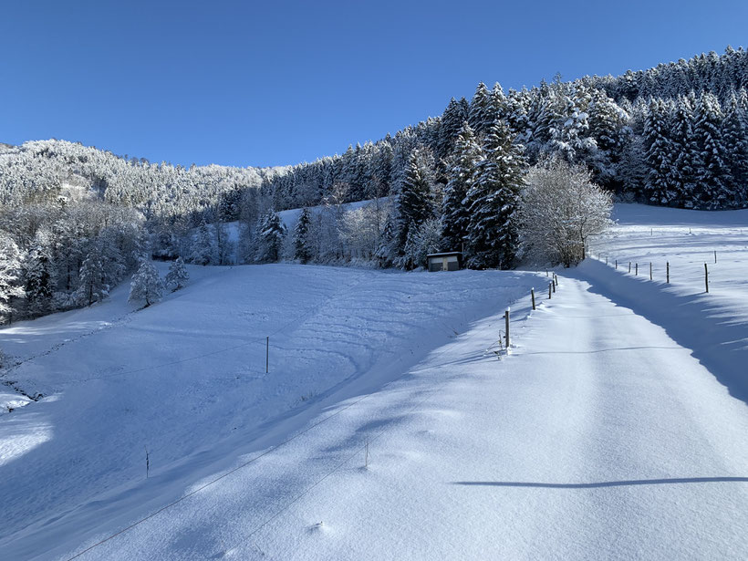 150 m hinter unserem Haus geht es los - unberührter Pulverschnee ...