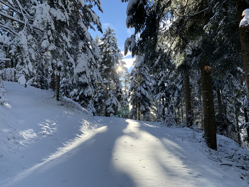 Im Wald waren es dann schon 35 cm ...