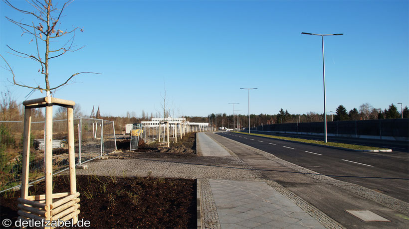 Minna-Todenhagen-Straße