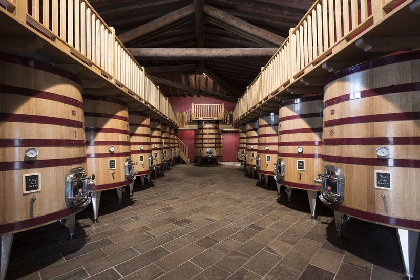 Fly and Wine, Helikopterflug mit Weindegustation,Zanini Vinattieri SA Ligornetto, Geschichte