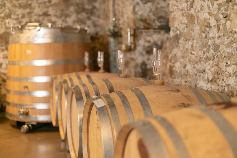 Fly and Wine, Helikopterflug mit Weindegustation,Weingut Bachmann, Stäfa, Klassfikationen Weinkeller