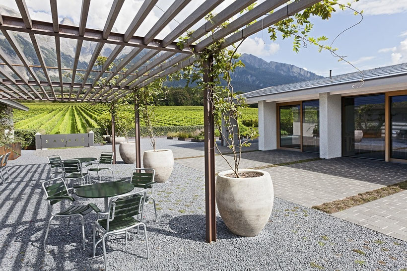 Fly and Wine, Helikopterflug mit Weindegustation,Weingut Davaz, Fläsch, Pergola