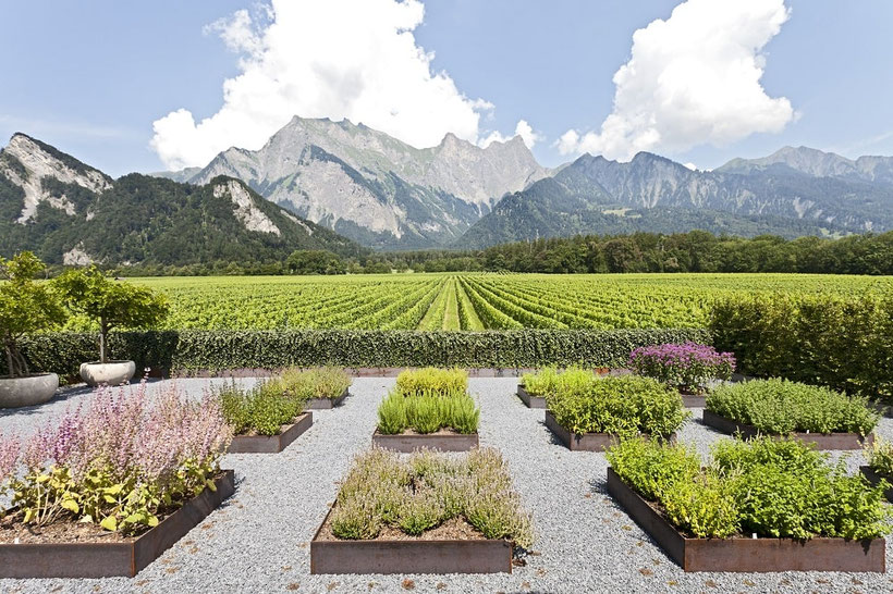 Fly and Wine, Helikopterflug mit Weindegustation,Weingut Davaz, Fläsch, Gewürzgarten Falknis