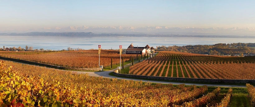 Fly and Wine, Helikopterflug mit Weindegustation, Domaine de Chambleau, Weingut mit Aussicht auf den See