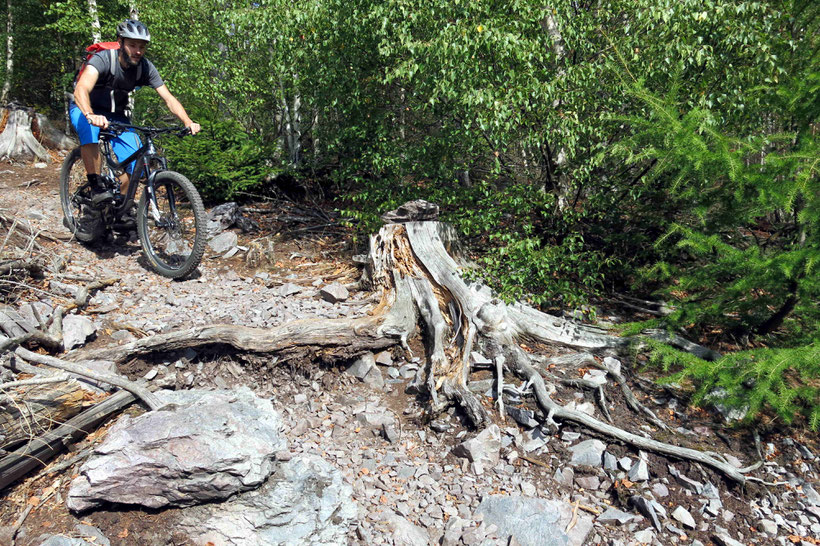 Mountainbiken Harz