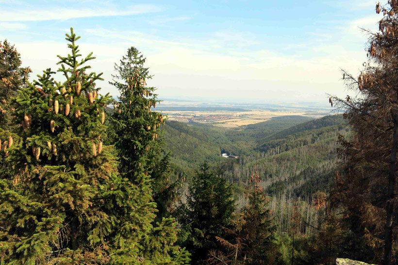 Blick auf Stapelburg von der Taubenklippe
