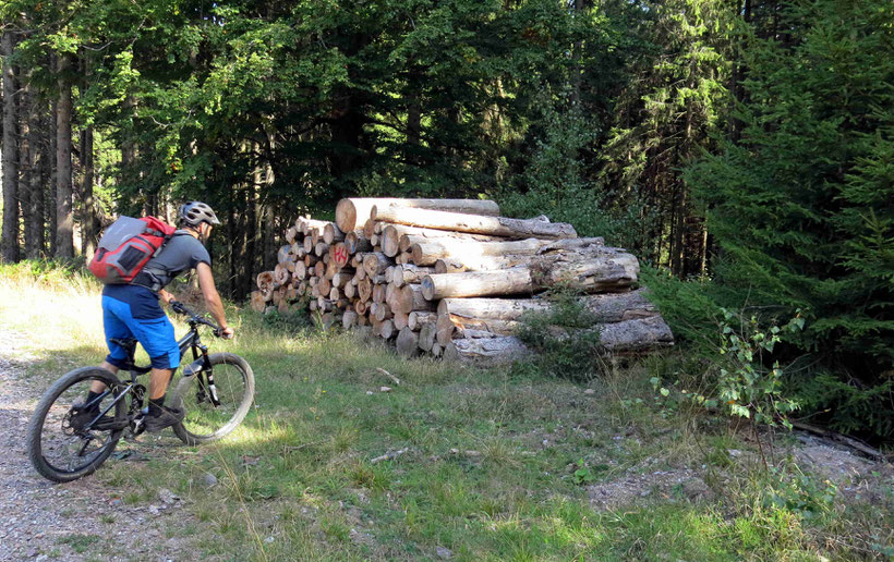 Sieht nicht so aus, aber vor dem Holzstapel beginnt ein Trail