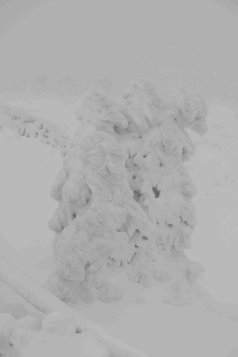 Harz, Winter