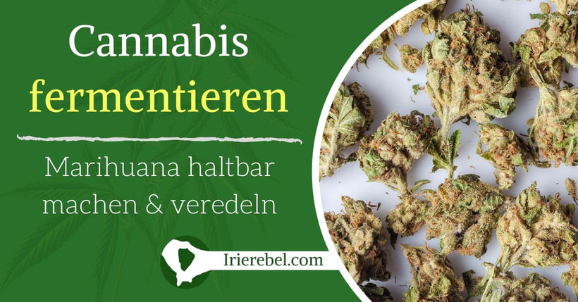 Cannabis fermentieren - Marihuana haltbar machen & veredeln