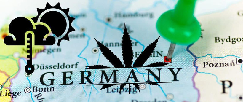 Klima- und Temperaturanforderungen für Cannabis in Deutschland