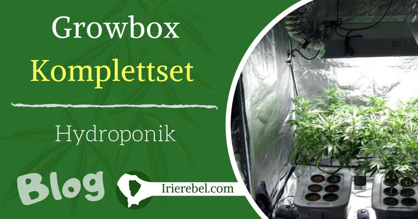 Growbox Komplettset & Hydroponik