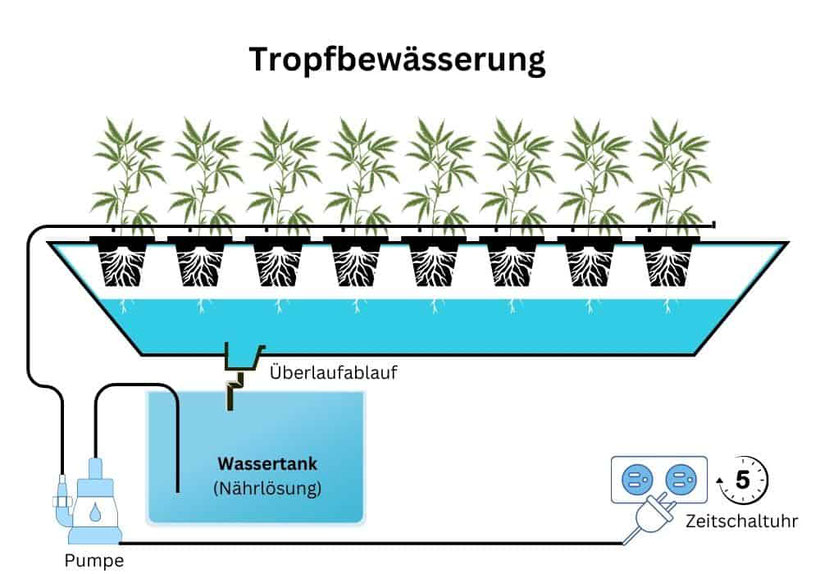 Grundlagen der Tropfbewässerung Diagram