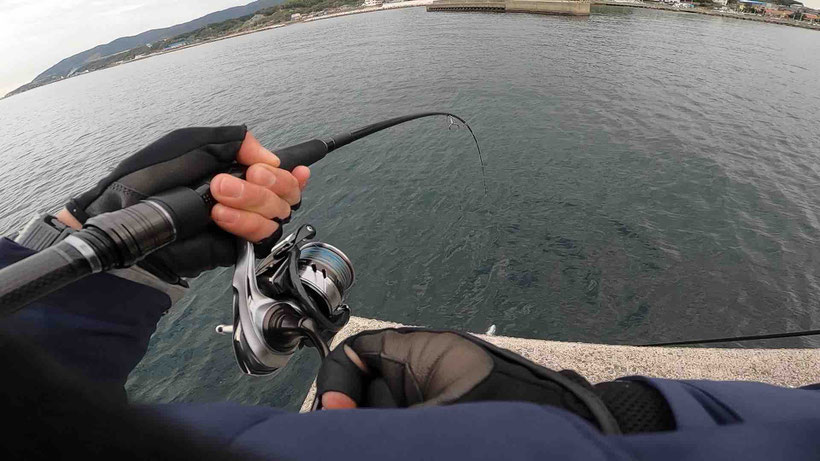 淡路島 郡家港で青物メジロをセットアッパーで釣った