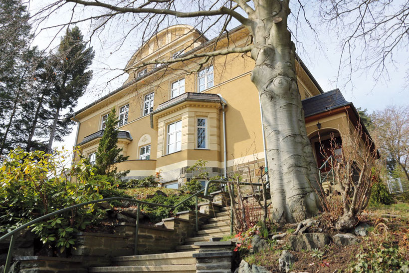 Villa Schmidstraße 20, Plauen