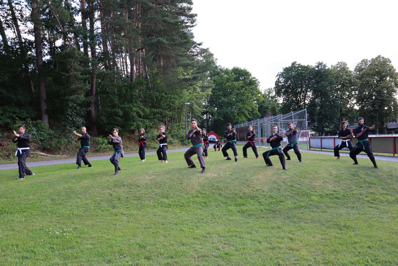 Anfängertraining, Bujinkan, Bujinkan Budo Taijitsu, TSV Lauf, Lauf an der Pegnitz, Zoom, 