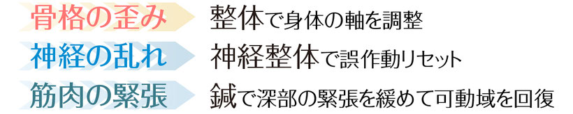骨格→整体/神経→神経整体/筋緊張→鍼
