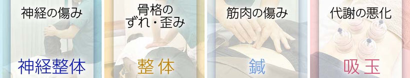 4種の治療法/神経整体/整体/鍼/吸玉（刺絡）