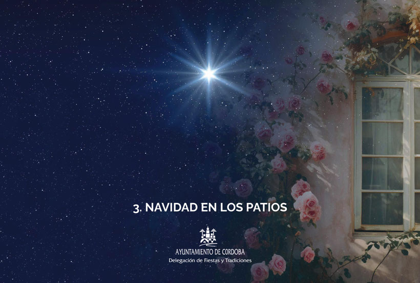 Programa de la Navidad en Cordoba