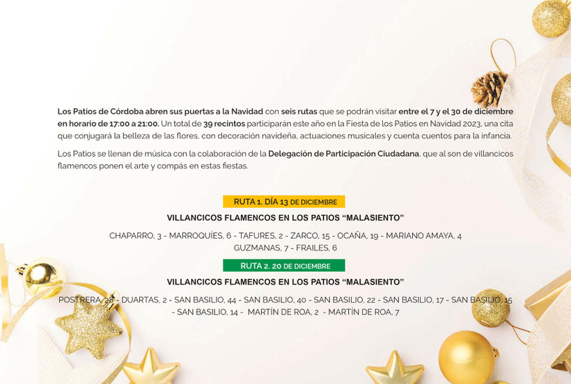 Programa de la Navidad en Cordoba