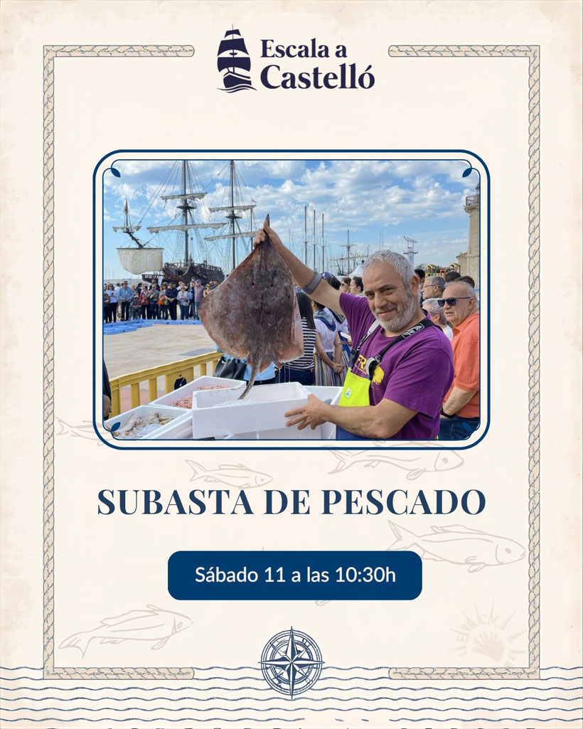 Programa de Escala a Castellon