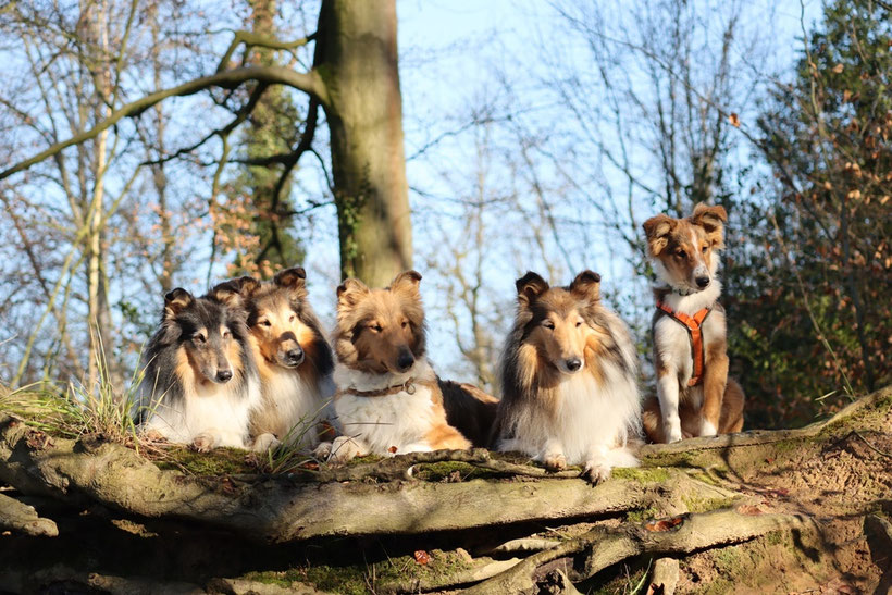 Februar 2025 (Foto: Melanie Drecker)