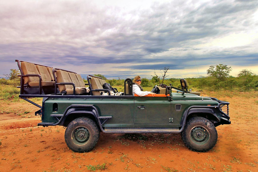Who wants to take a safari ride with me? | Where to find the big 5 - The Ultimate Guide to Wildlife Safari in South Africa | via @Just1WayTicket | Photo © Sabrina Iovino