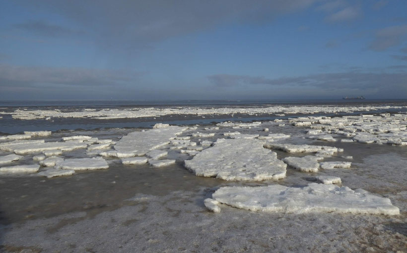 Meer, Nordsee, Eisschollen, Winter, Naturschauspiel, Natur-Attraktion, UNESCO-Weltnaturerbe Wattenmeer,