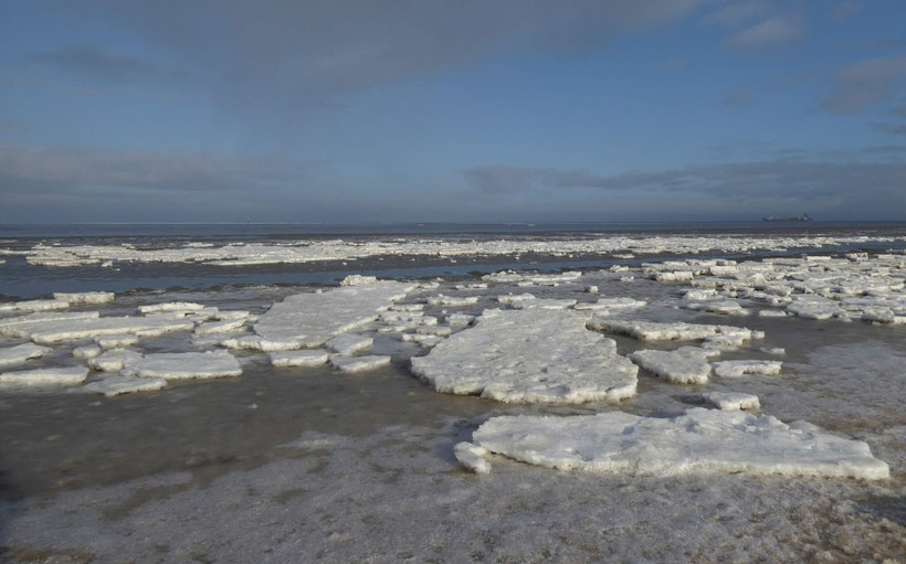 Meer, Nordsee, Eisschollen, Winter, Naturschauspiel, Natur-Attraktion, UNESCO-Weltnaturerbe Wattenmeer,