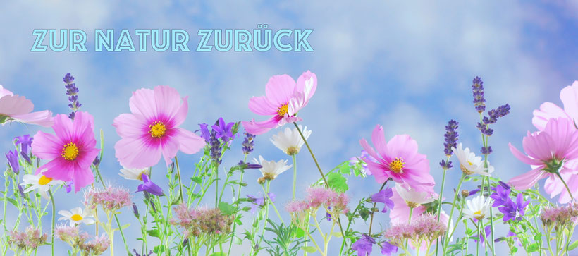 zur natur zurück