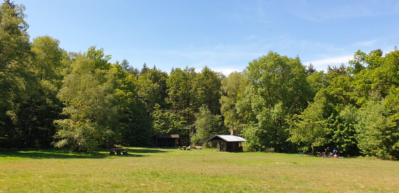 So wie auf diesem älteren Bild sieht es auf der Wigrow leider nicht mehr aus...