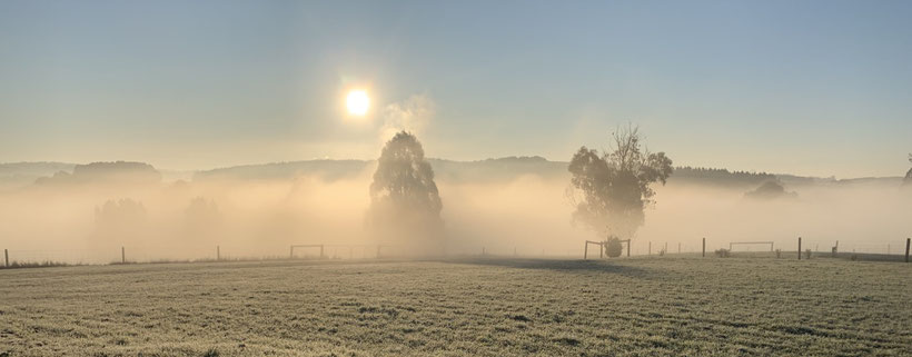 Green fields in the frost. 