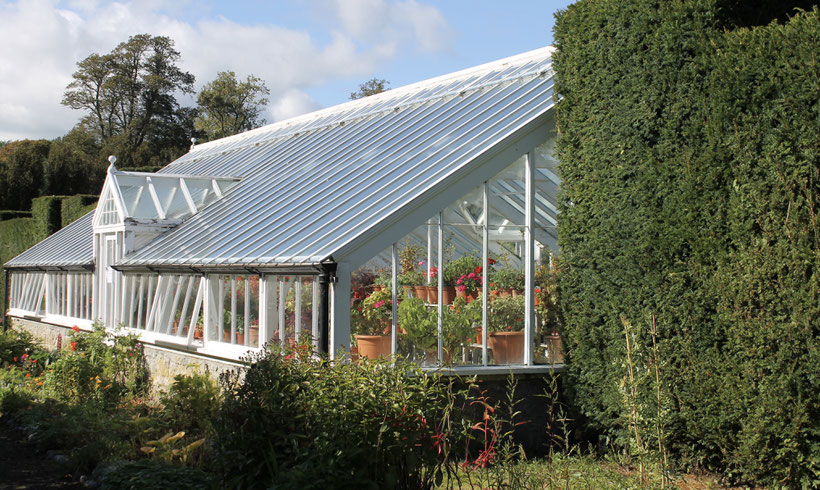 Glasshouse at Birr Castle.