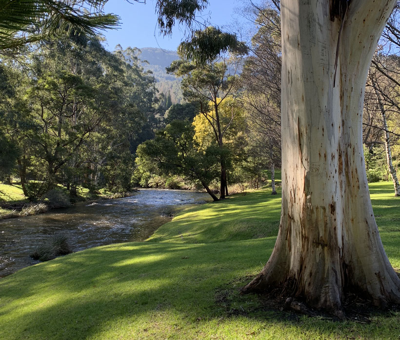 Yarra River, Warburton, Australia.