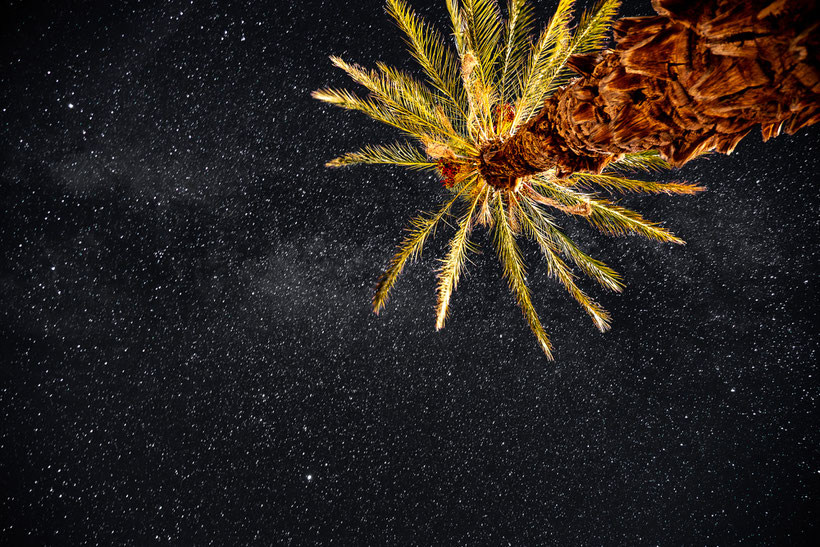 Night sky at Borrego Springs, California