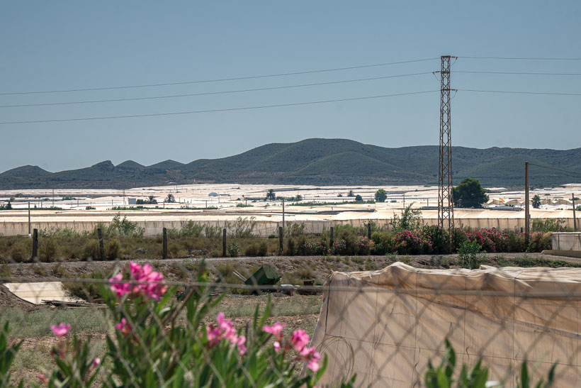 As far as the eye can see: greenhouses at Almeria, Andaluciá, also known as the fruit garden of Europe
