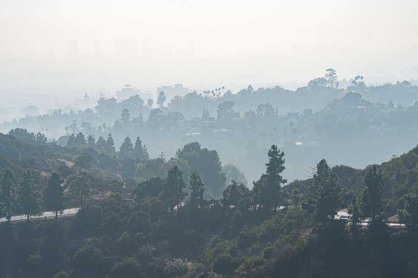 View across Griffith Park, Los Angeles, California