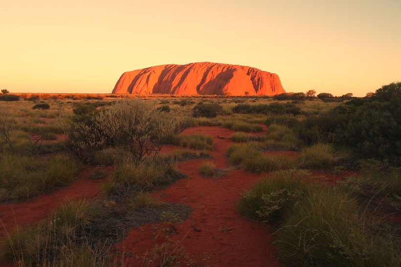Ayers rock in the sunset light
