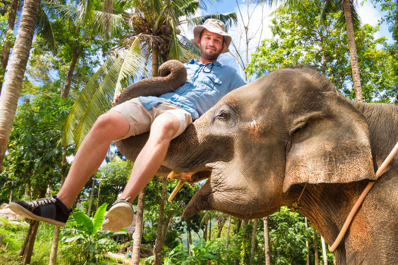 Elefant trampelt Touristen tot