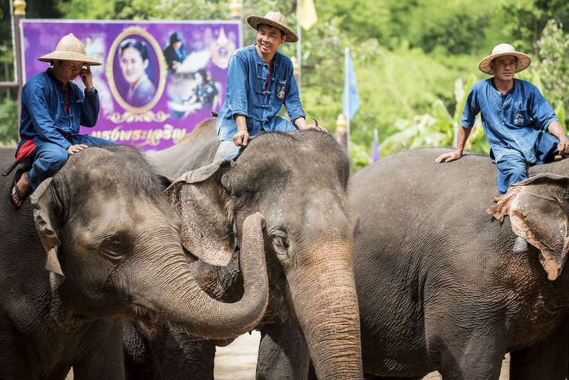 Elephant Conservation Center in Lampang