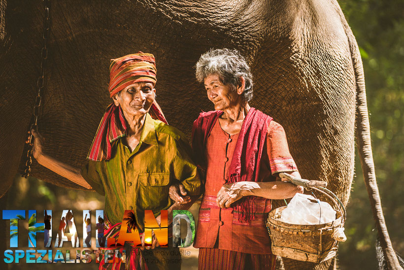 Altes thailändisches Paar mit Elefant