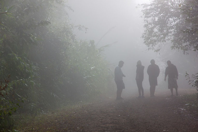 Nebel im Nationalpark Phu Pha Yon