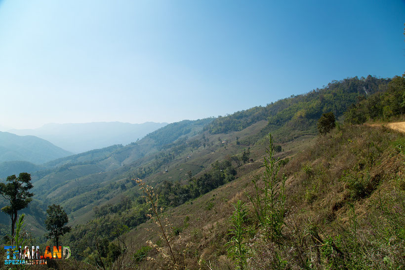 Nationalpark Doi Phu Kha ThailandSpezialisten