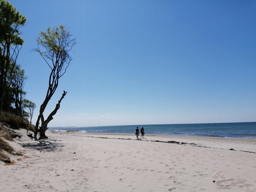 Prerow, Weststrand, Ostsee, Fischland-Darss-Zingst, Urlaub, Meer