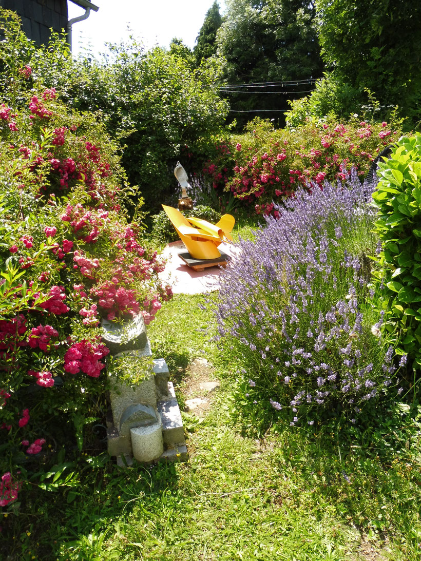 un recoin du jardin